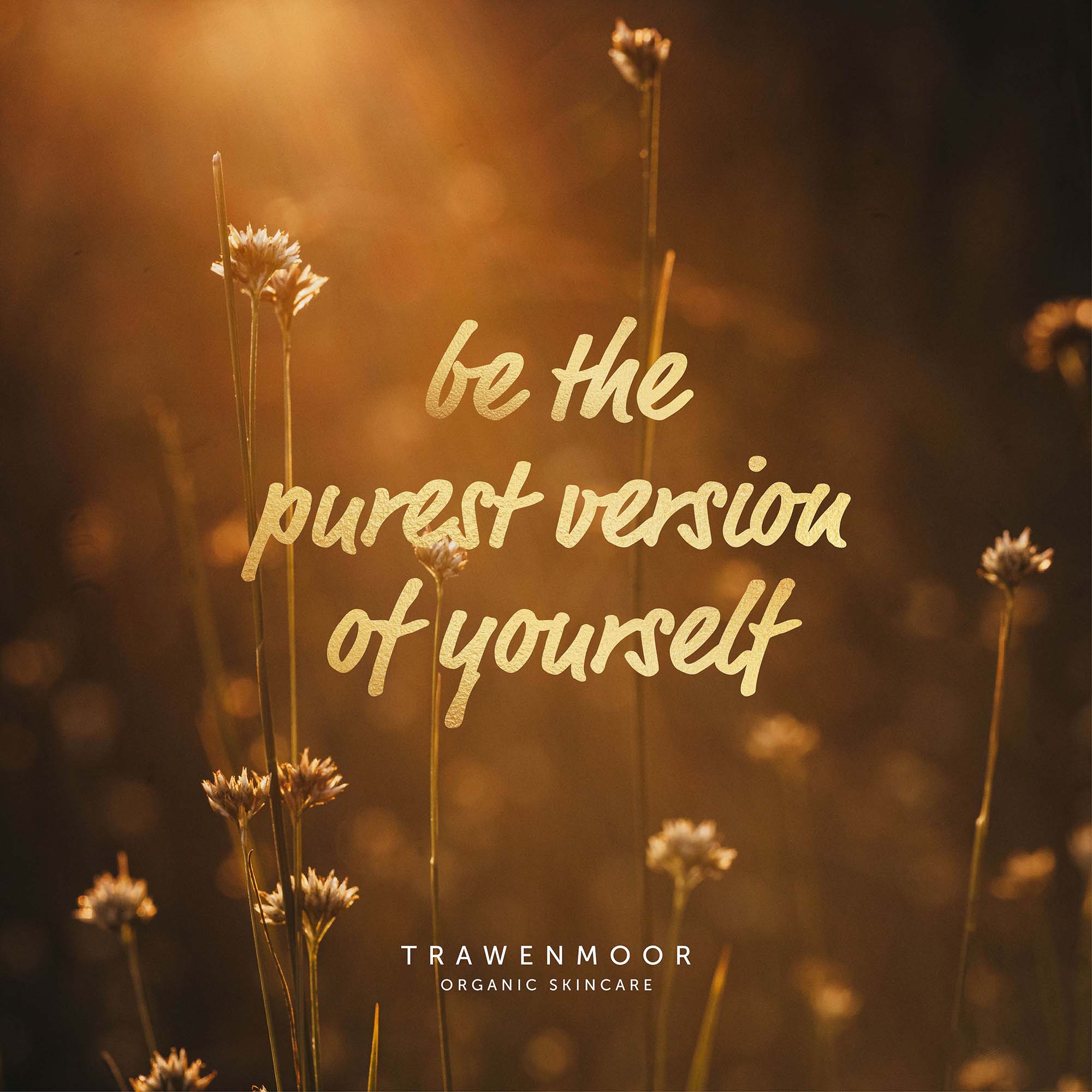 trawenmoor_slogan_online